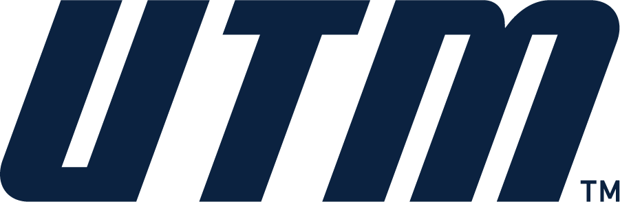 Tennessee-Martin Skyhawks 2020-Pres Wordmark Logo t shirts iron on transfers